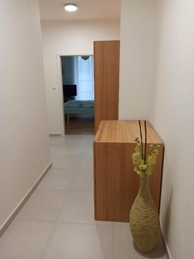 Wellness Rezidence Javor, Ubytování se zasklenou terasou v centru Železné Rudy Železná Ruda Exterior foto